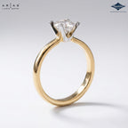 Arias by Lara Dutta Engagement Ring
